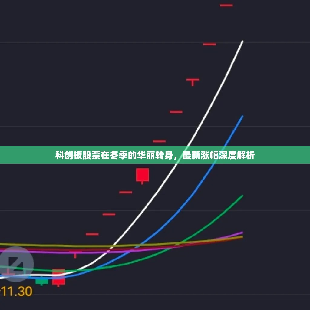 科创板冬季华丽转身，最新涨幅深度解析