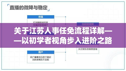 江苏人事任免流程详解，初学者视角步入进阶之路（2024年人事任免实例）