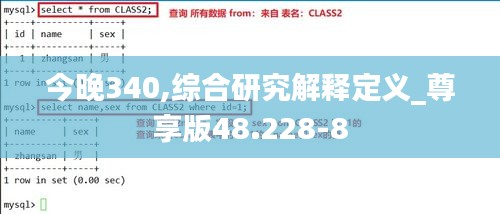 今晚340,综合研究解释定义_尊享版48.228-8