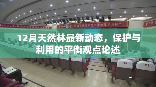 威风凛凛 第3页