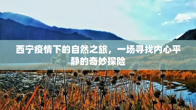 行疾如飞 第2页