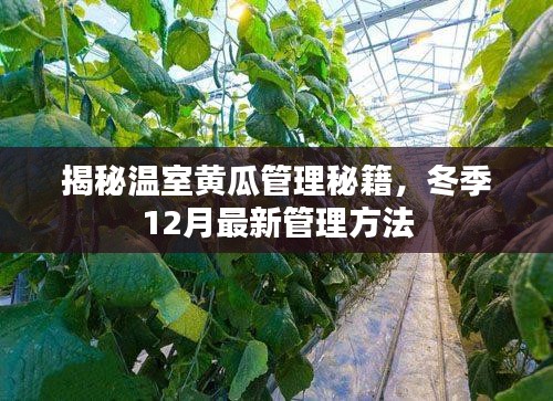 椎髻布衣 第2页