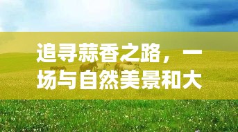 追寻蒜香之路，自然美景与大蒜价格的奇遇之旅