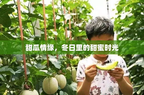 联系我们 第196页