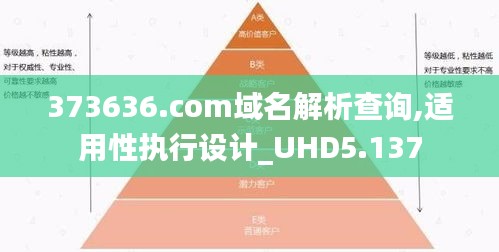 373636.com域名解析查询,适用性执行设计_UHD5.137