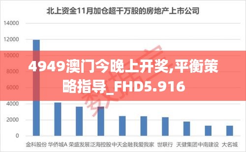 4949澳门今晚上开奖,平衡策略指导_FHD5.916