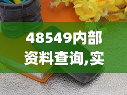 48549内部资料查询,实地解析说明_Nexus2.318