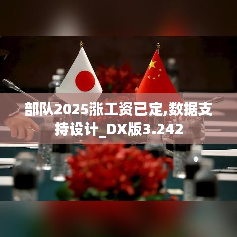 部队2025涨工资已定,数据支持设计_DX版3.242