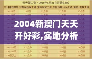 2004新澳门天天开好彩,实地分析解析说明_挑战版8.330