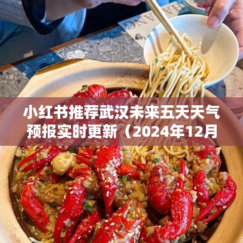 小红书推荐，武汉未来五天天气预报实时更新（2024年12月）