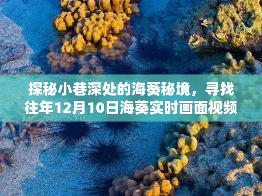 春雨贵如油 第2页