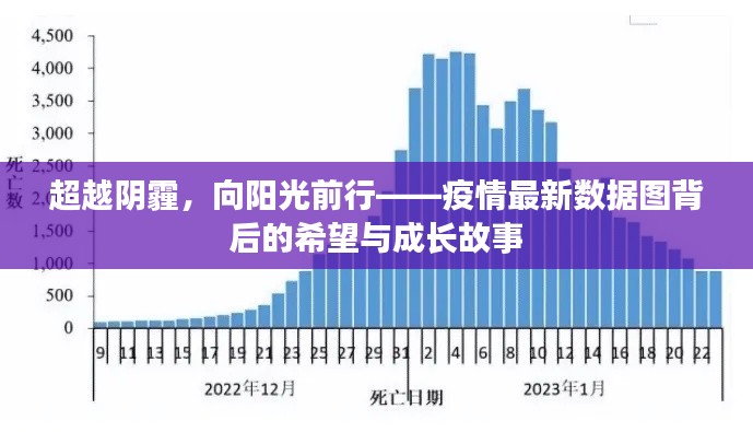 观往知来 第2页