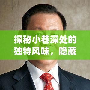 大张挞伐 第2页