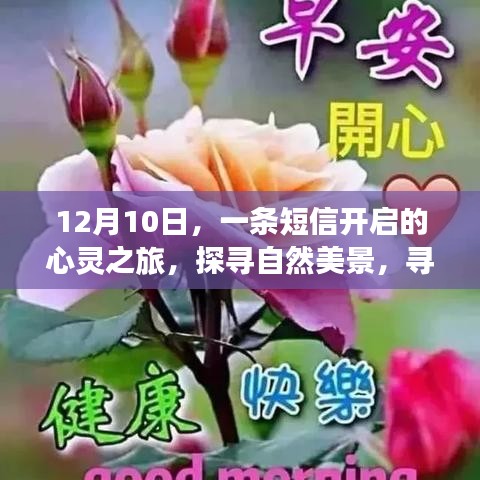 无边无际 第2页