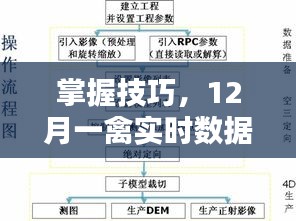 掌握技巧，12月一禽实时数据获取与分析的全面步骤指南