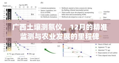 龙飞九五 第2页