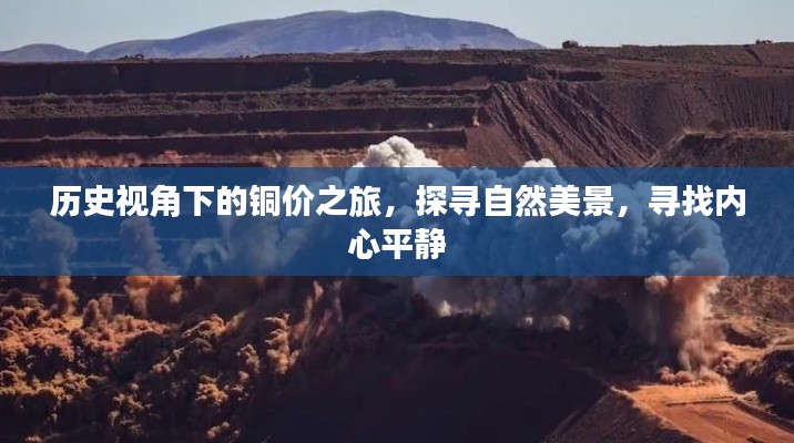 母以子贵 第2页