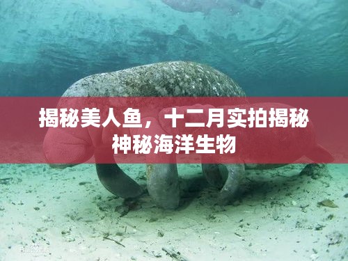 聚精会神 第2页