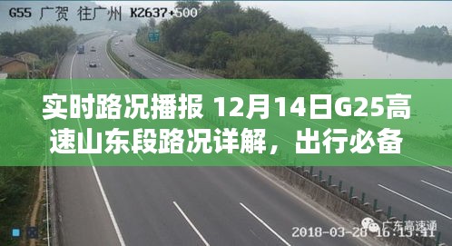 夯雀儿先飞 第2页