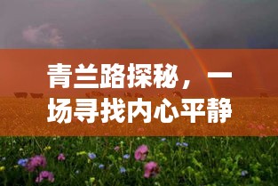 青兰路探秘之旅，寻找内心平静的旅程