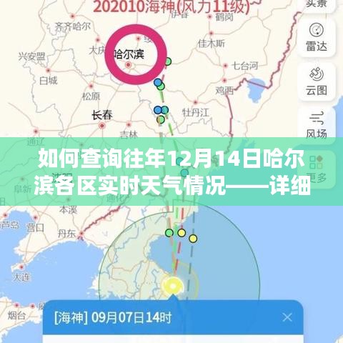 如何查询哈尔滨各区往年12月14日实时天气情况，详细步骤解析