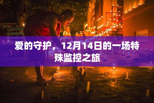 蛾眉曼睩 第2页