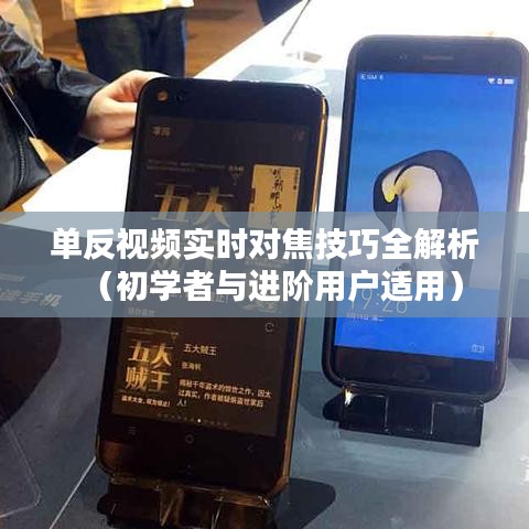 物是人非 第2页