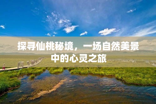仙桃秘境探寻，自然美景的心灵之旅
