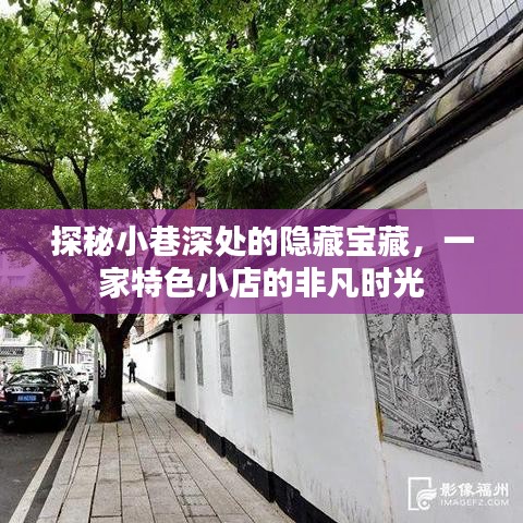 小巷深处的隐藏宝藏，特色小店的非凡时光探索
