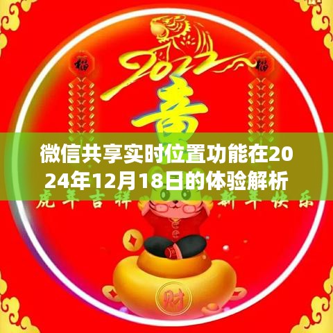 微信共享实时位置功能深度体验解析，2024年12月18日观察