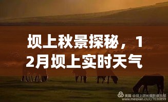 恋恋不舍 第2页