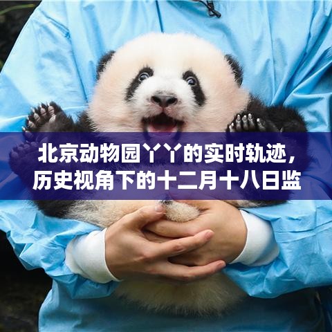 木乾鸟栖 第2页