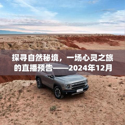 探寻自然秘境的心灵之旅直播预告，中央最新实时消息发布于2024年12月18日