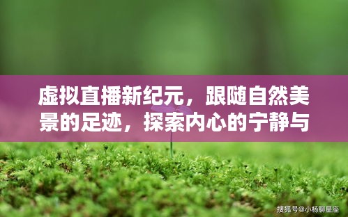 虚拟直播新纪元，跟随自然美景探索内心宁静与和谐之旅