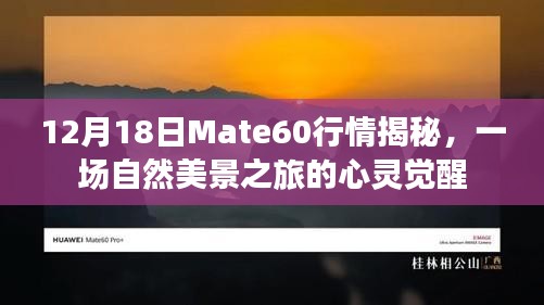 Mate60行情揭秘，自然美景之旅的心灵觉醒体验