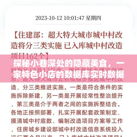 探秘小巷深处的隐藏美食，特色小店的实时数据库之旅