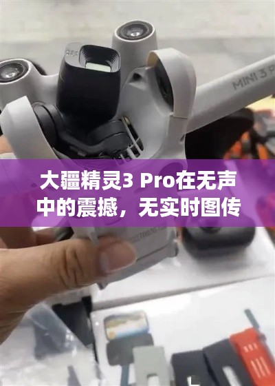 惊弦之鸟 第2页