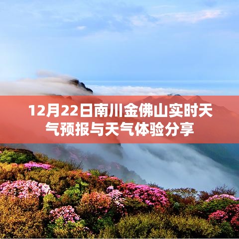 南川金佛山天气预报及天气体验分享（实时更新）