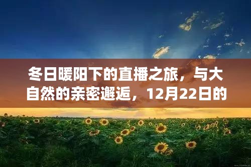 冬日暖阳下的直播之旅，与大自然的温馨邂逅在野外共度冬至时光