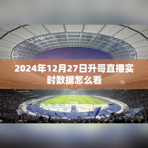 展翅欲飞 第2页
