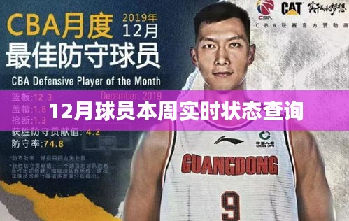 球员实时状态查询系统（最新更新）