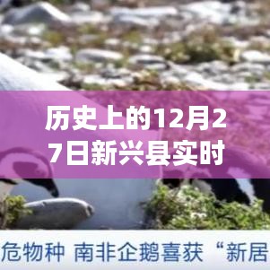 反朴归真
