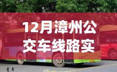 漳州公交实时查询系统，12月线路更新