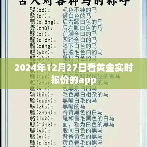 黄金实时报价APP，掌握最新黄金行情
