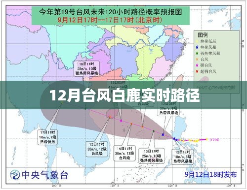 台风白鹿实时路径追踪报道
