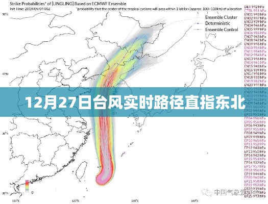 台风实时路径更新，东北成目标