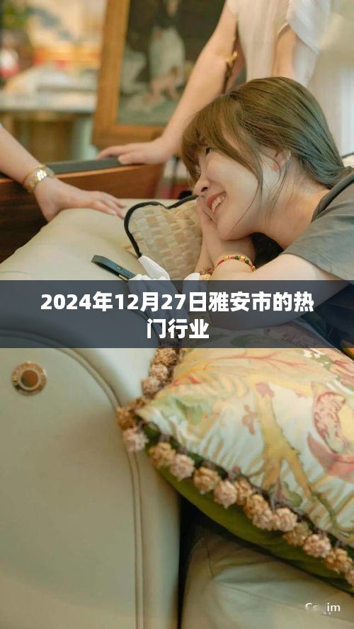雅安市热门行业概览（2024年12月）