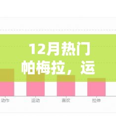 帕梅拉运动热潮背后的健身魅力解析