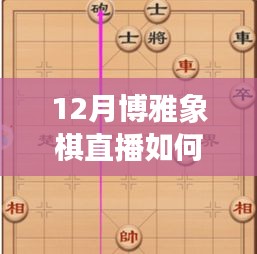 博雅象棋直播，揭秘上热门秘诀，12月直播攻略！