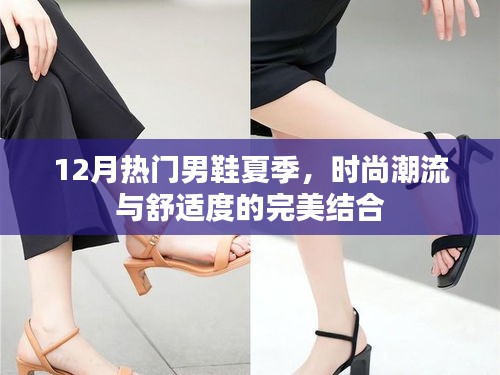 时尚夏季男鞋，舒适与潮流的完美结合，热门推荐在12月